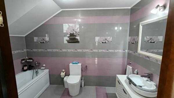 Vila cu piscina, terasa si curte generoasa - Bucuresti/Colentina