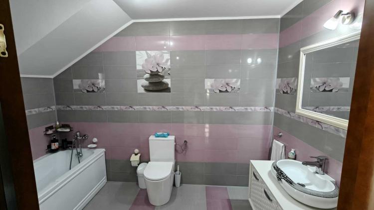 Vila cu piscina, terasa si curte generoasa - Bucuresti/Colentina