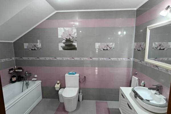 Vila cu piscina, terasa si curte generoasa - Bucuresti/Colentina