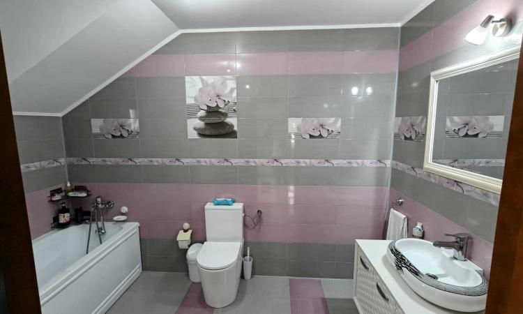 Vila cu piscina, terasa si curte generoasa - Bucuresti/Colentina