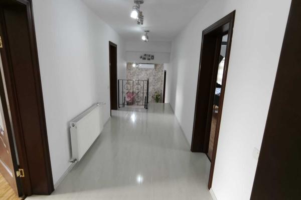 Vila cu piscina, terasa si curte generoasa - Bucuresti/Colentina