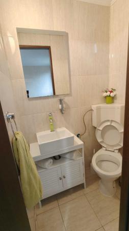 Vila cu piscina, terasa si curte generoasa - Bucuresti/Colentina