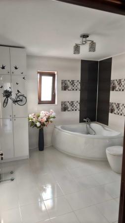 Vila cu piscina, terasa si curte generoasa - Bucuresti/Colentina