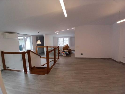 Loft spatios la Cismigiu