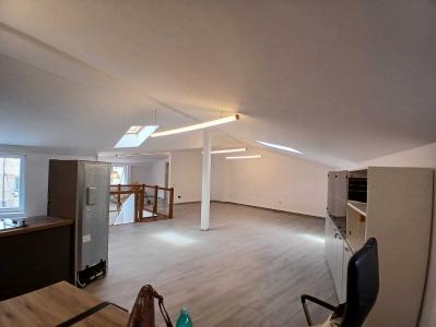 Loft spatios la Cismigiu