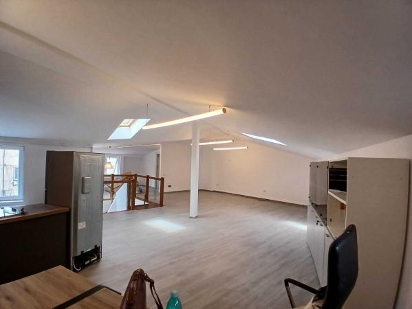 Loft spatios la Cismigiu
