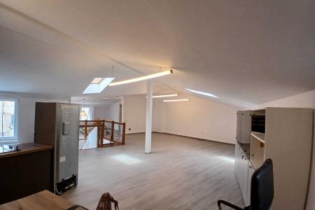 Loft spatios la Cismigiu