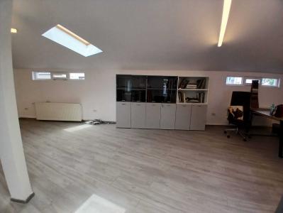 Loft spatios la Cismigiu