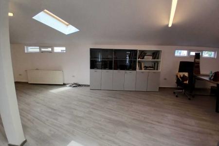 Loft spatios la Cismigiu