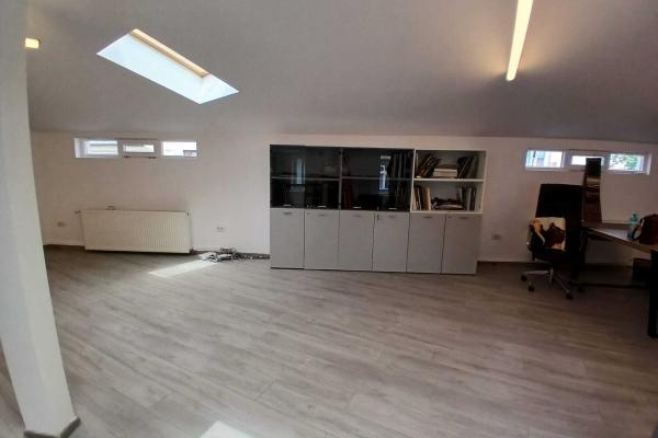 Loft spatios la Cismigiu