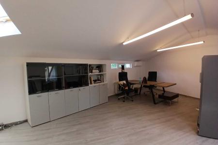 Loft spatios la Cismigiu