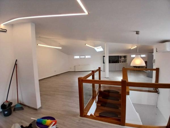 Loft spatios la Cismigiu