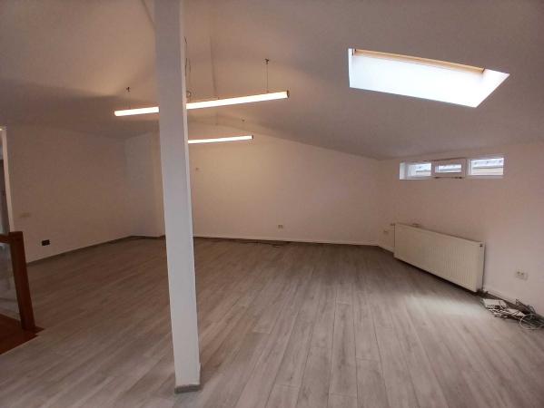 Loft spatios la Cismigiu