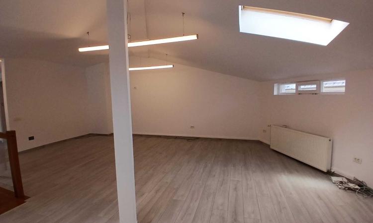Loft spatios la Cismigiu