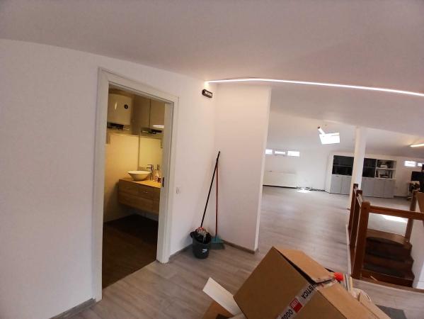 Loft spatios la Cismigiu