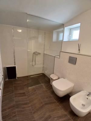 Loft spatios la Cismigiu