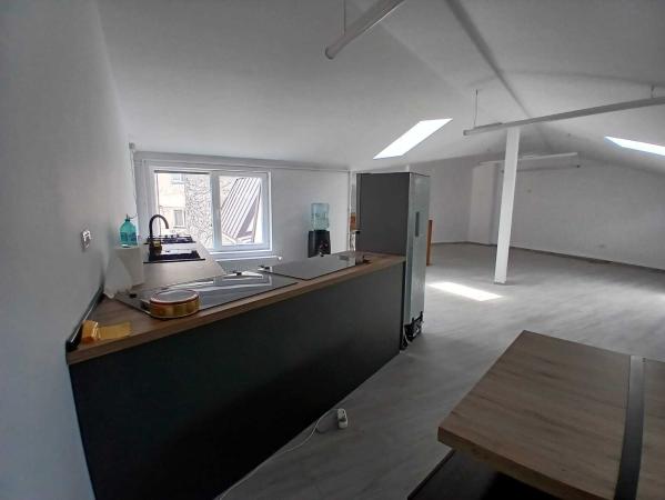 Loft spatios la Cismigiu
