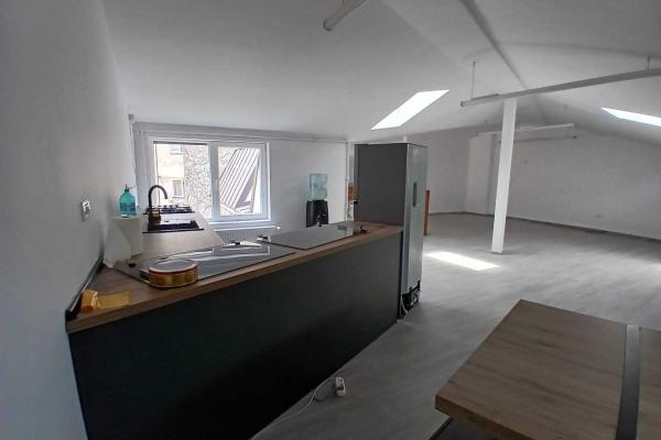 Loft spatios la Cismigiu