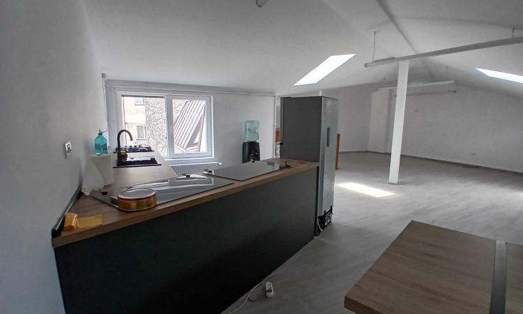 Loft spatios la Cismigiu
