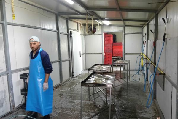 Afacere de vânzare: Fermă Avicola – Ialomița