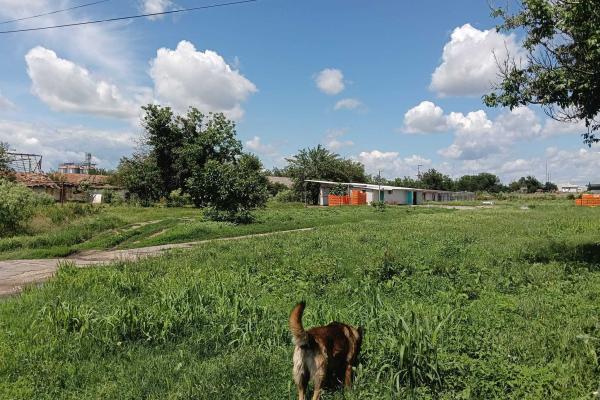 Afacere de vânzare: Fermă Avicola – Ialomița