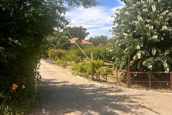 FERMĂ AGRICOLĂ PREMIUM | JUDEȚULUI CONSTANȚA | 2.000 HA | POSIBILITATE DE EXTINDERE LA 6.000 HA
