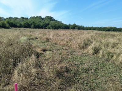 Baicoi/ Saramura/Teren investitie 7500 mp/ d_68