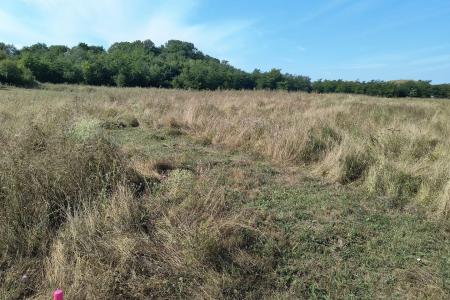 Baicoi/ Saramura/Teren investitie 7500 mp/ d_68