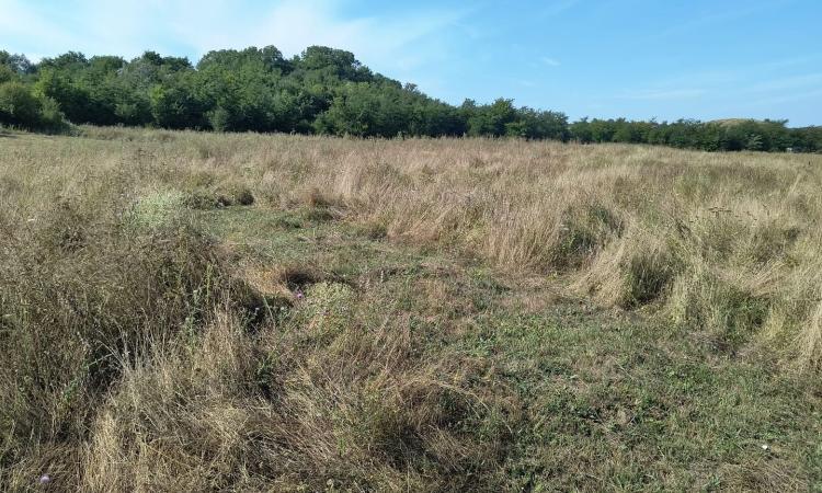 Baicoi/ Saramura/Teren investitie 7500 mp/ d_68