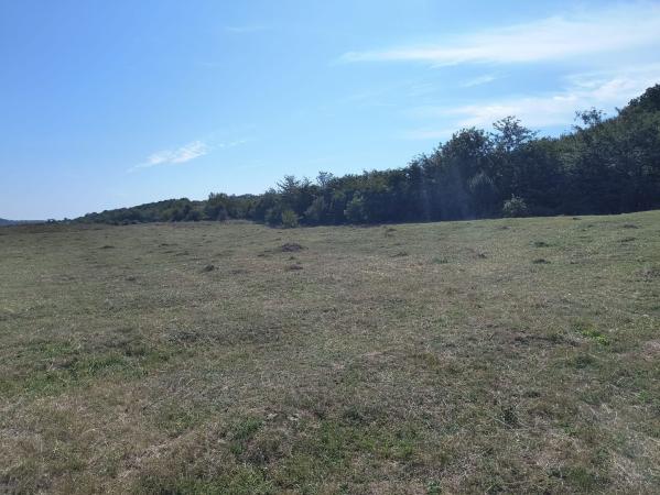 Baicoi/ Saramura/Teren investitie 7500 mp/ d_68