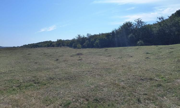 Baicoi/ Saramura/Teren investitie 7500 mp/ d_68