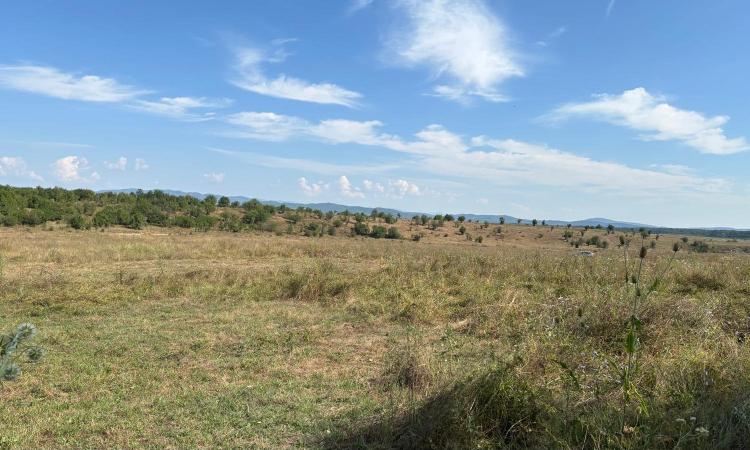 Baicoi/ Saramura/Teren investitie 7500 mp/ d_68