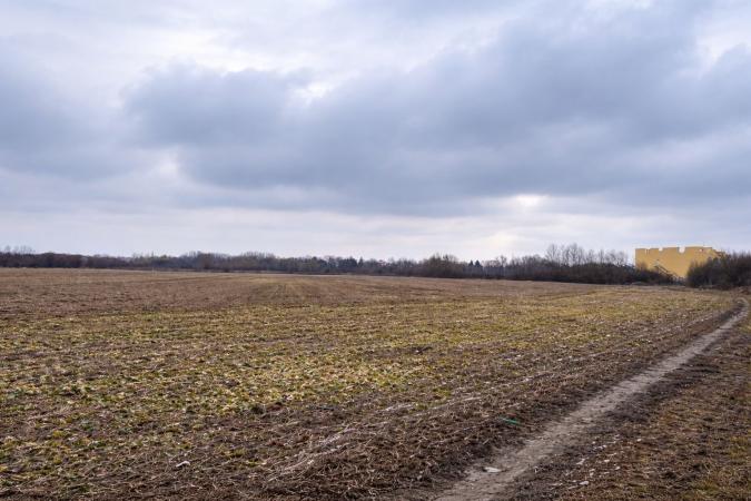 Teren 21.800 mp de vânzare – oportunitate pentru dezvoltare rezidențială în Gruiu, lângă Snagov