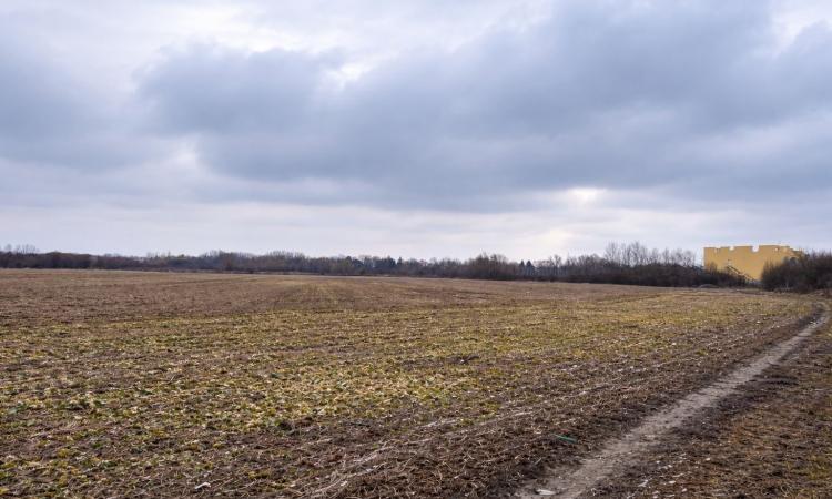 Teren 21.800 mp de vânzare – oportunitate pentru dezvoltare rezidențială în Gruiu, lângă Snagov