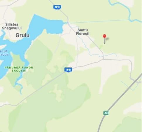 Teren 21.800 mp de vânzare – oportunitate pentru dezvoltare rezidențială în Gruiu, lângă Snagov