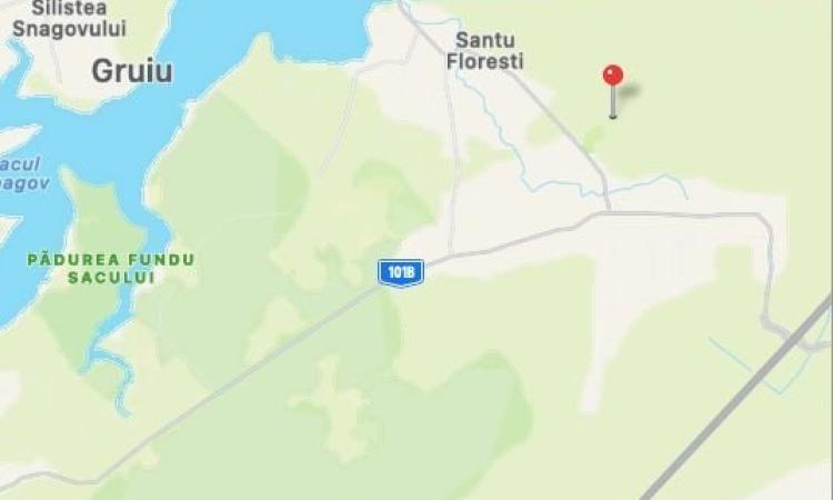 Teren 21.800 mp de vânzare – oportunitate pentru dezvoltare rezidențială în Gruiu, lângă Snagov