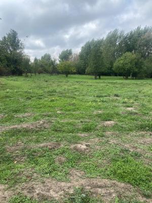 Ferma zootehnica mixta in judetul Vrancea