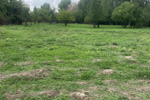 Ferma zootehnica mixta in judetul Vrancea