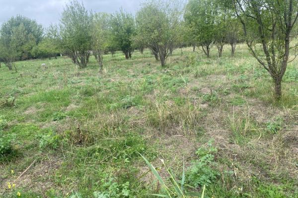 Ferma zootehnica mixta in judetul Vrancea