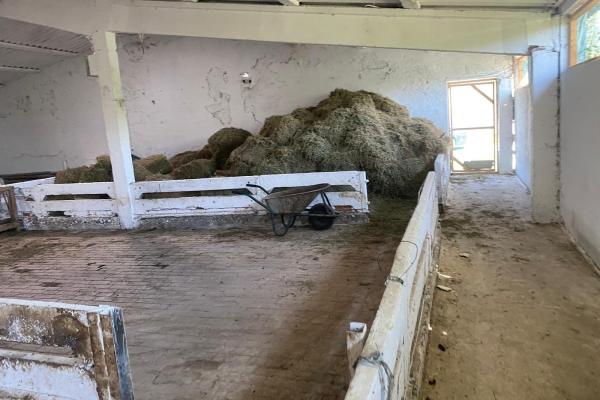 Ferma zootehnica mixta in judetul Vrancea