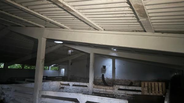 Ferma zootehnica mixta in judetul Vrancea