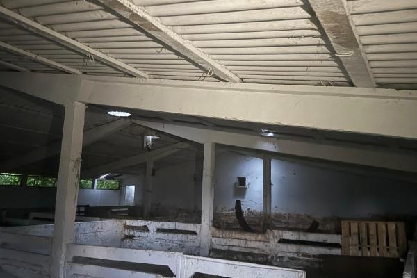 Ferma zootehnica mixta in judetul Vrancea