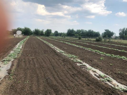 Fermă de vânzare | 3 ha | Între București și Constanța | Exploatație agricolă și zootehnică