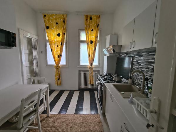 Închiriere apartament 4 camere, 153 mp, mobilat și utilat - parter vilă - Dorobanți Capitale