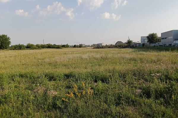Teren industrial , Timișoara. Autorizație de construire inclusă