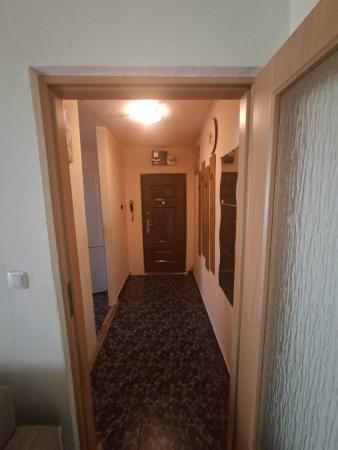 Apartament cu 2 camere, semidecomandat, 52 mp, etaj 1 – Zona Stadion Dan Păltinișanu