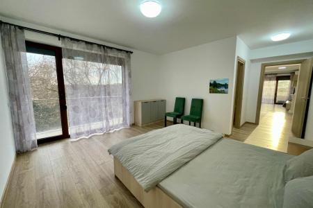 Apartament 3 camere de închiriat Siliștea Snagovului cu acces către lac