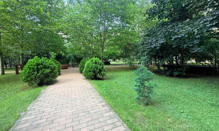Apartament de închiriat 3 camere Central Park