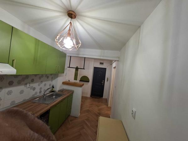 2 camere, semidecomandat, cu o suprafață utilă de 46 mp, situat la parter