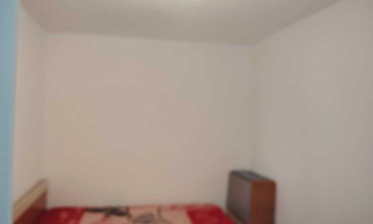 Se oferă spre vânzare un apartament cu 2 camere, situat în zona Șagului, pe strada Iris, la etajul 2
